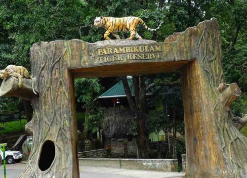 Parambikulam Tiger Reserve